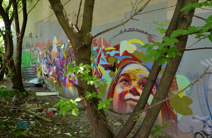 Colourful graffiti of a person's face on a wall with other graffiti. The wall is partially hidden by some small trees.