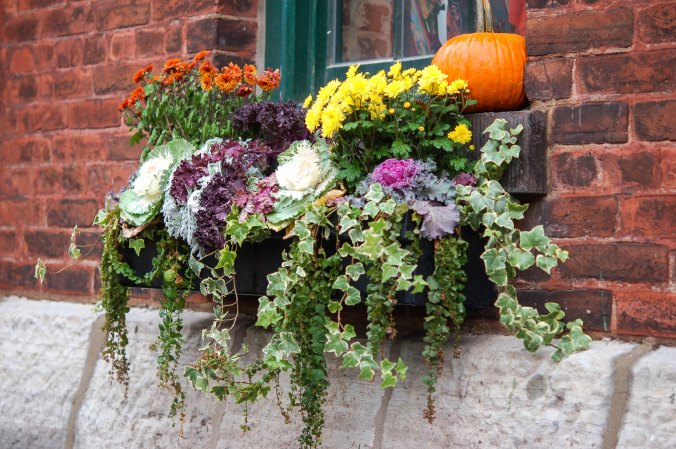 a window box with fall plants and flowers in it