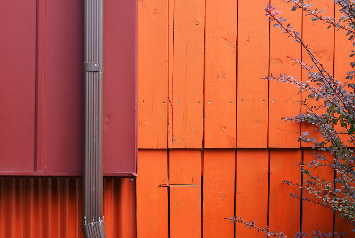 abstract looking picture of the intersection of an orange wood wall and a maroon metal wall.  A brown downpipe runs along the outside of the maroon part.   A greenish shrub grows in front of the orange part.  