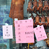 a row of roast ducks hanging in a restaurant window.