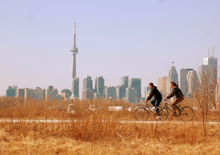 two people are cycling along a path in Tommy THompson park.  The CN tower and Toronto skyline are in the background.  