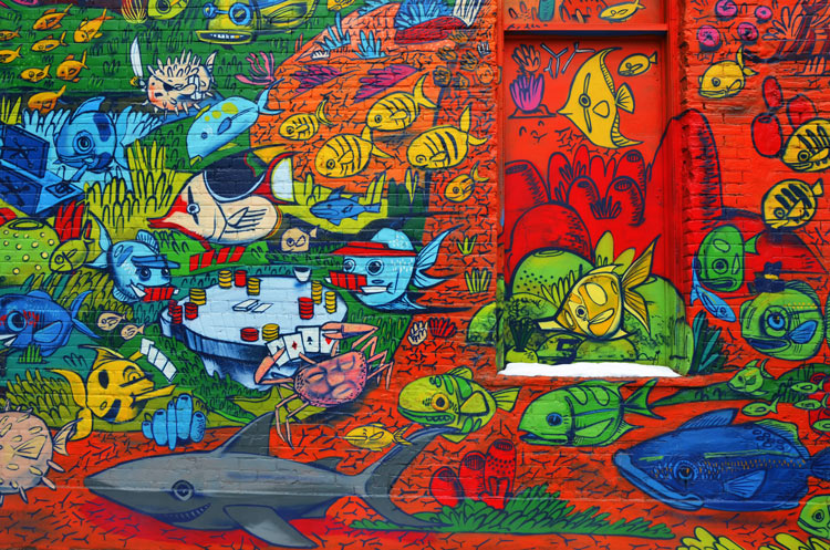 very colourful wall of fish