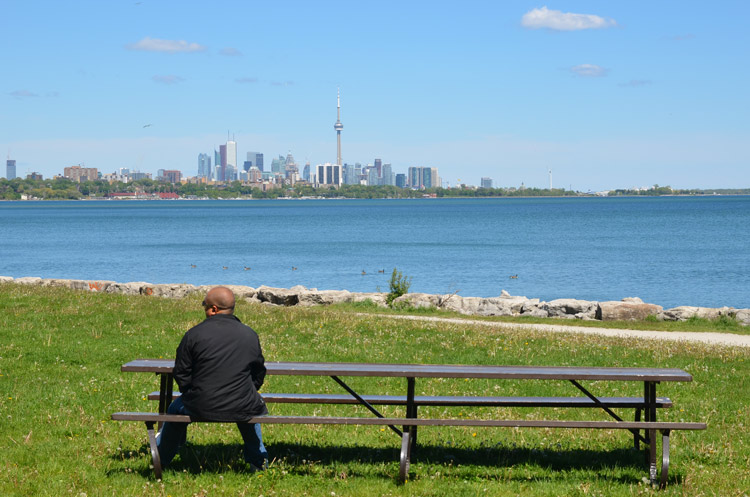 A man sits at a picnic table in a park overlooking Lake Ontario.  The Toronto skyline and the CN are in the distance 