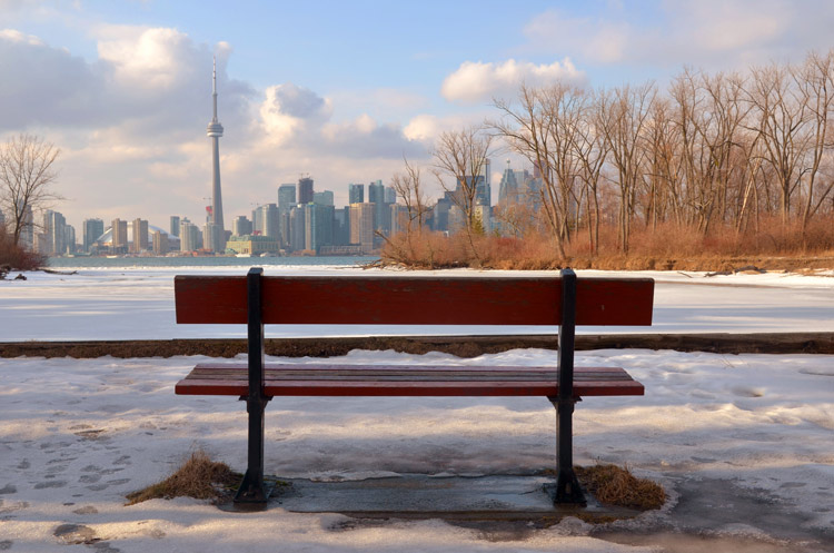 photo taken from behind a bench on one of the Toronto islands, looking towards the Toronto skyline 