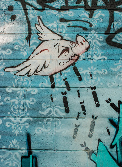 bomber pig