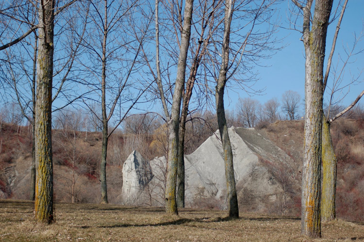 rocks and trees  