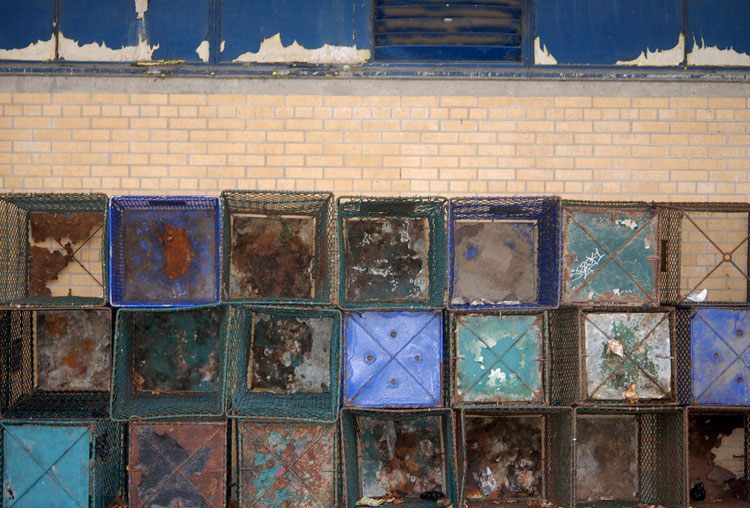 empty trash bins in storage for the winter