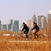 two people are cycling along a path in Tommy THompson park (used to be Leslie Street Spit).  The CN tower and Toronto skyline are in the background.  