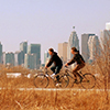 two people are cycling along a path in Tommy THompson park.  The CN tower and Toronto skyline are in the background.  