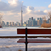 photo taken from behind a bench on one of the Toronto islands, looking towards the Toronto skyline 