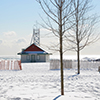 Leuty Lifesaving station, a small white wood building with a red roof, in the winter, surrounded by snow.  A few trees and empty benches are in the picture.  