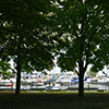 trees and bench in a park at the waterfront with the boats moored at the National Yacht Club behind them 