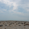 sand and pebbles, a photo taken from down low, lots of sky in the picture. 