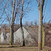 rocks and trees 